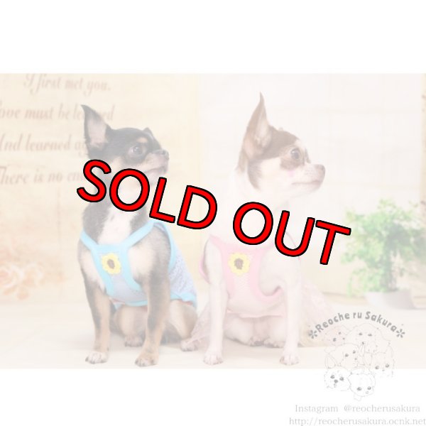 画像11: 【イニシャル入れ】イニシャルメッシュペアルック (11)