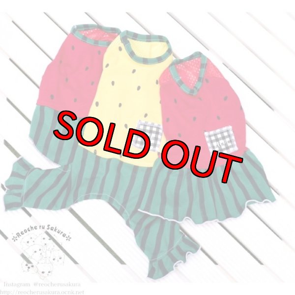 画像4: 【名入れ】スイカペアルック  春夏 (4)