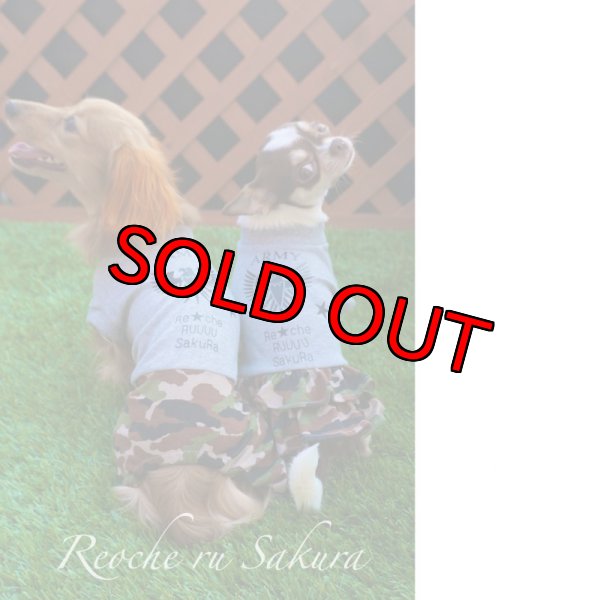 画像2: イーグルカモフラージュARMY (2)