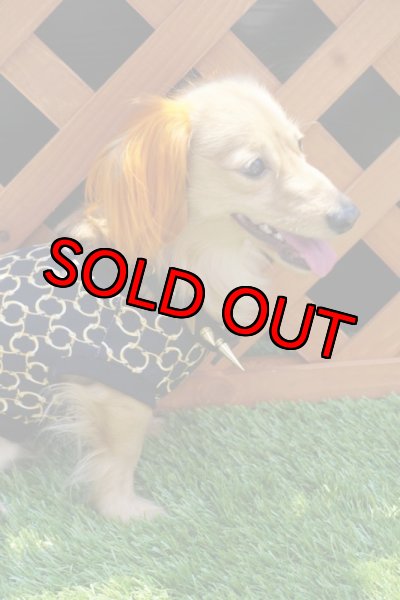 画像2: 【スワロフスキー】チェーンペアルック【名入れ♂】 (2)