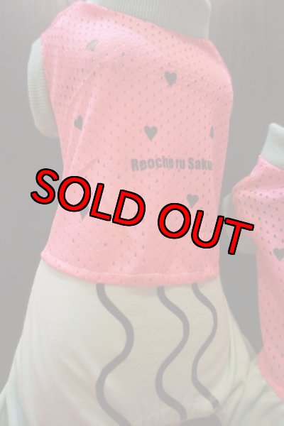 画像3: 【メッシュ】スイカ風ペアルック (3)