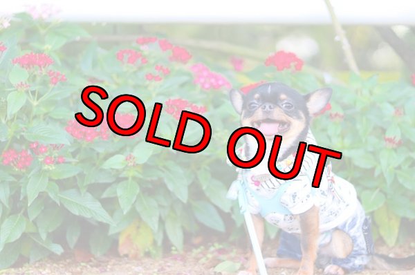 画像4: 【名入れ】アメリカンSmileペアルック (4)