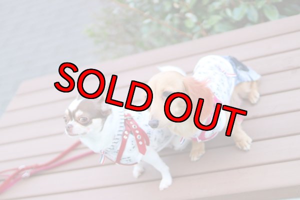 画像6: 【名入れ】アメリカンSmileペアルック (6)