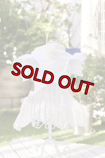 画像4: 【春〜初夏】レースフリルワンピース (4)