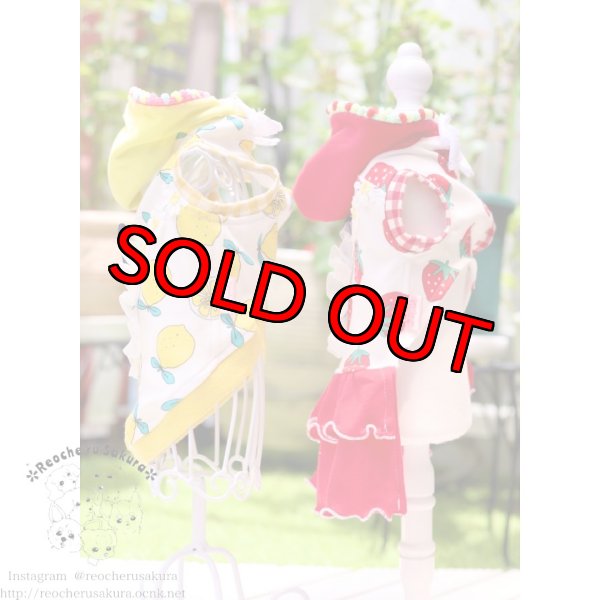 画像3: フルーツシリーズペアルック (3)