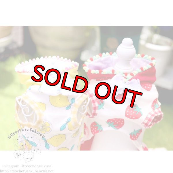 画像5: フルーツシリーズペアルック (5)