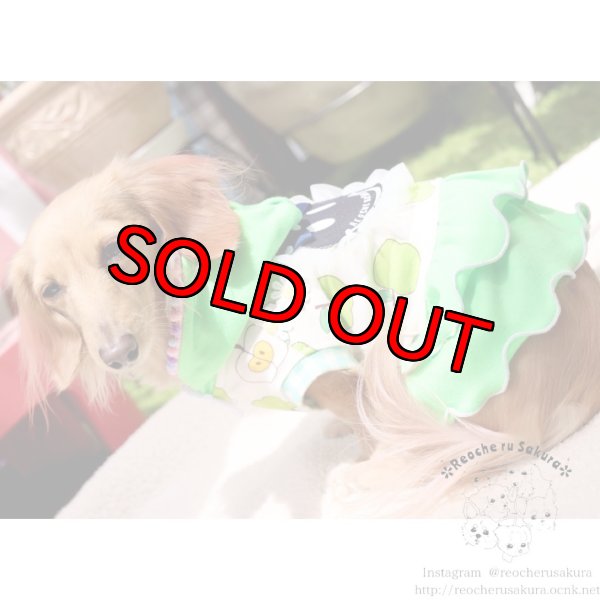 画像15: フルーツシリーズペアルック (15)