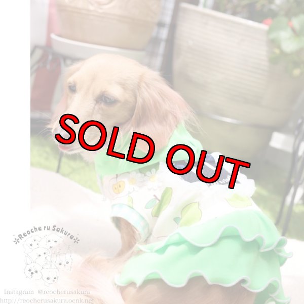 画像14: フルーツシリーズペアルック (14)