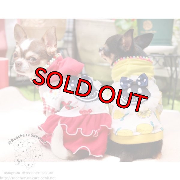 画像11: フルーツシリーズペアルック (11)