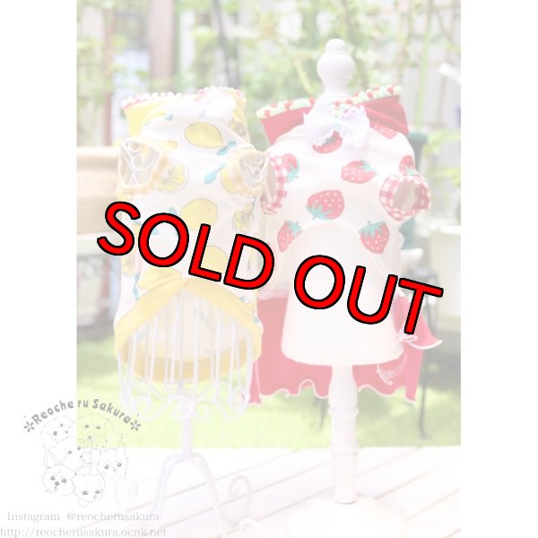 画像4: フルーツシリーズペアルック (4)