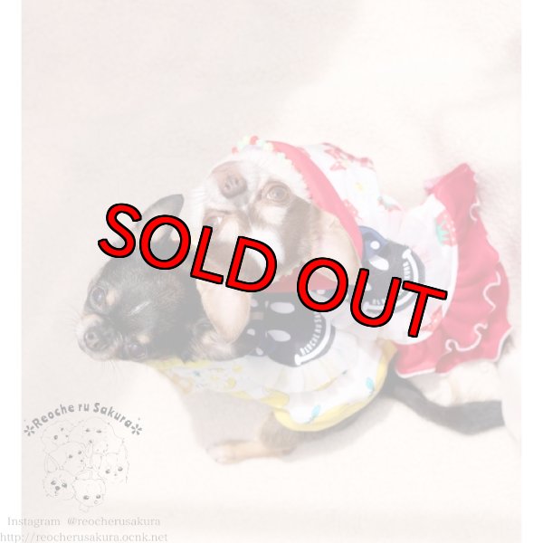 画像12: フルーツシリーズペアルック (12)