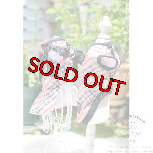 画像2: チェックメッシュ ペアルック (2)