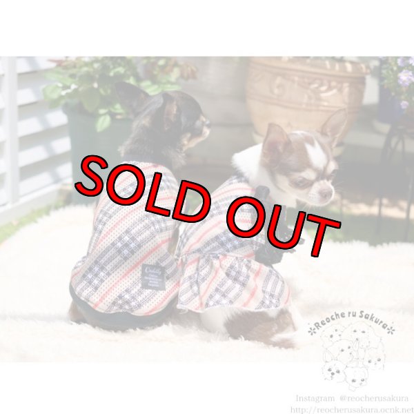 画像7: チェックメッシュ ペアルック (7)