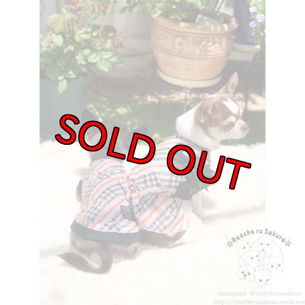 画像8: チェックメッシュ ペアルック (8)