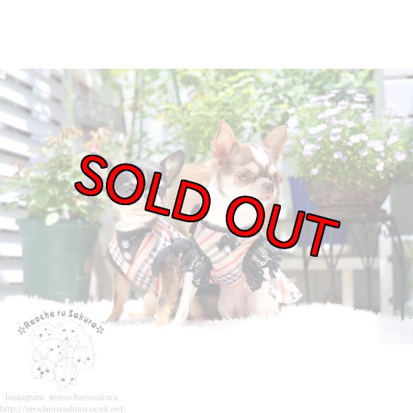 画像11: チェックメッシュ ペアルック (11)