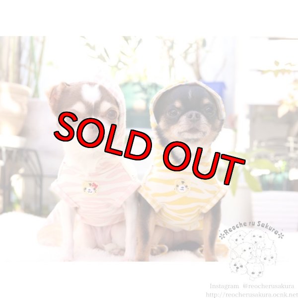 画像10: 🐯💥寅さんペアルック (10)