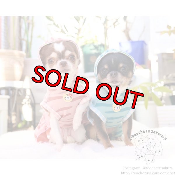 画像19: 🐯💥寅さんペアルック (19)