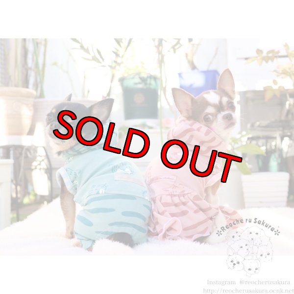 画像18: 🐯💥寅さんペアルック (18)