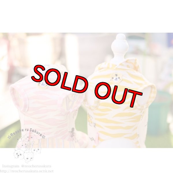 画像6: 🐯💥寅さんペアルック (6)