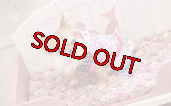 画像9: 【装飾MAX】メルヘンクマさんペアルック (9)