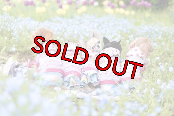 画像10: 【装飾MAX】メルヘンクマさんペアルック (10)