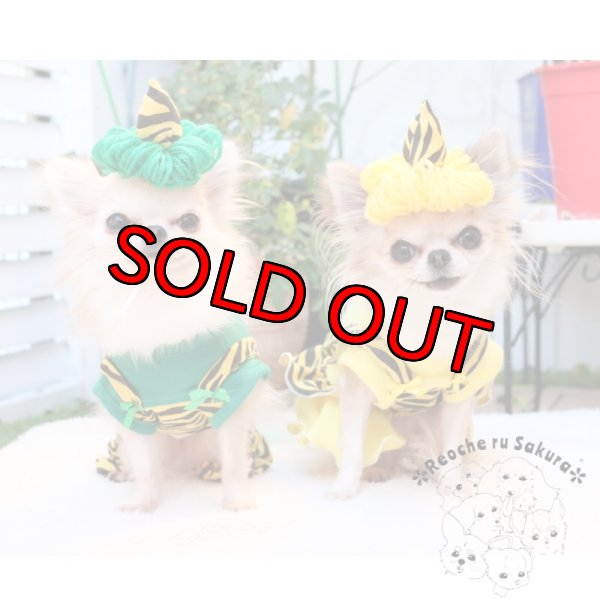 画像23: 【予約販売】【節分】鬼レンジャーペアルック (23)