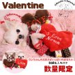 画像1: Valentine限定デザイン【ワンちゃんの大好きがいっぱいのおもちゃ】 (1)