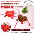 画像15: Valentine限定デザイン【ワンちゃんの大好きがいっぱいのおもちゃ】 (15)