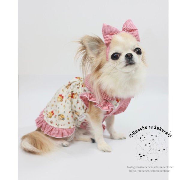 画像18: おそろいカチューシャ (18)