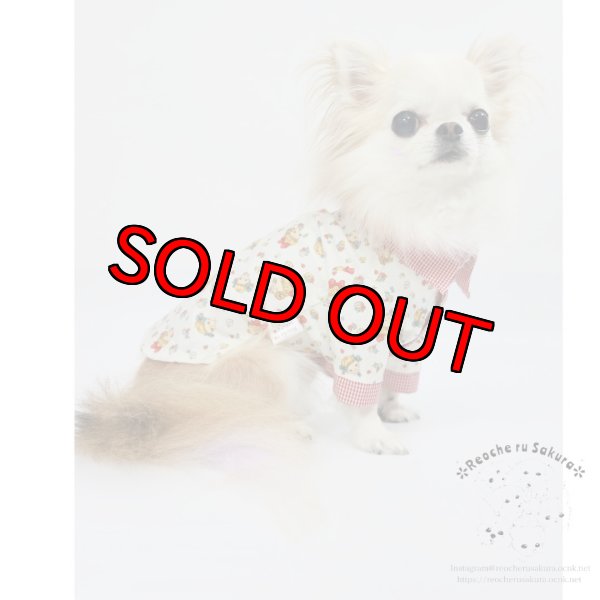 画像12: ラブリーガールブラウス&シャツ (12)