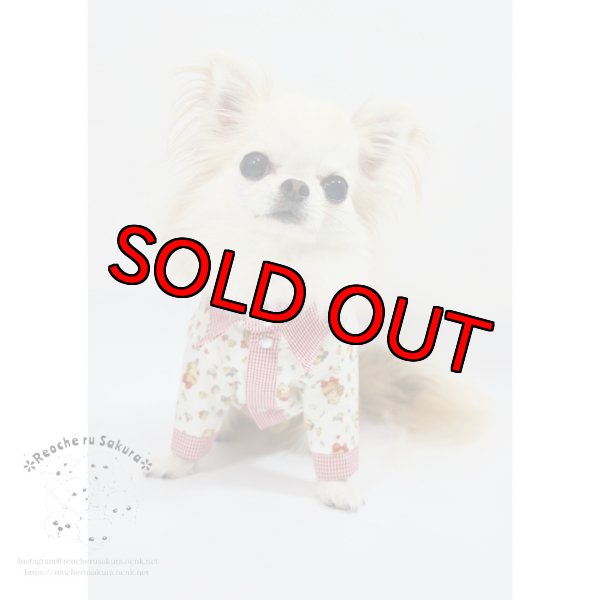 画像4: ラブリーガールブラウス&シャツ (4)