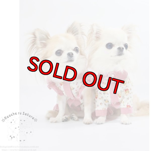 画像20: ラブリーガールブラウス&シャツ (20)