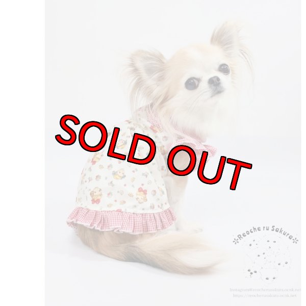 画像3: ラブリーガールブラウス&シャツ (3)