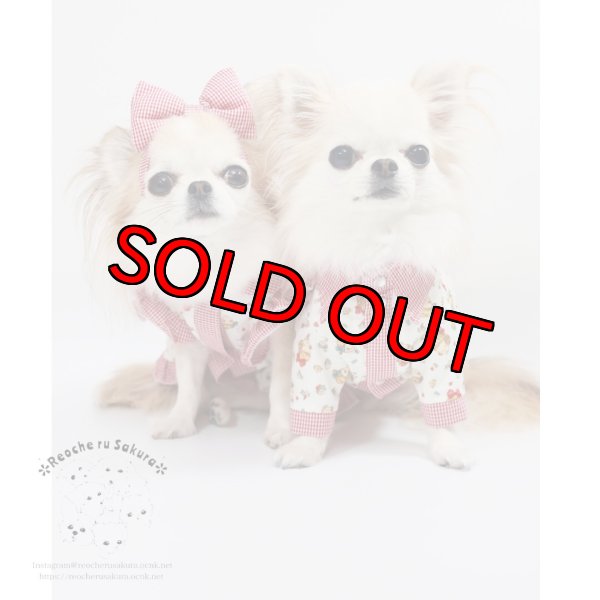 画像17: ラブリーガールブラウス&シャツ (17)