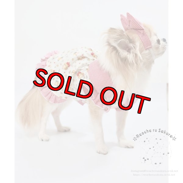 画像21: ラブリーガールブラウス&シャツ (21)