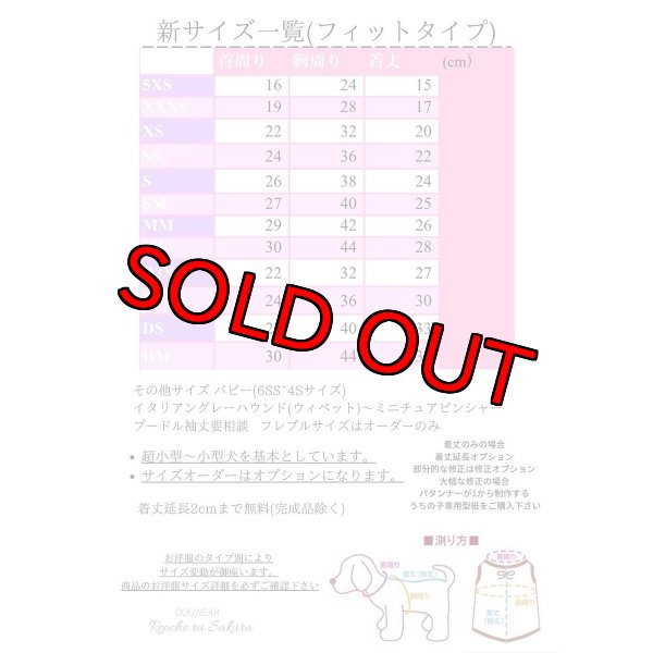 画像22: ラブリーガールブラウス&シャツ (22)