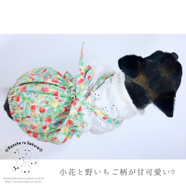 画像4: ストロベリーキャミパンツ&スカート (4)