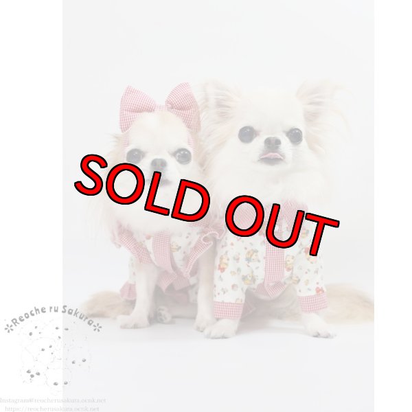 画像19: ラブリーガールブラウス&シャツ (19)