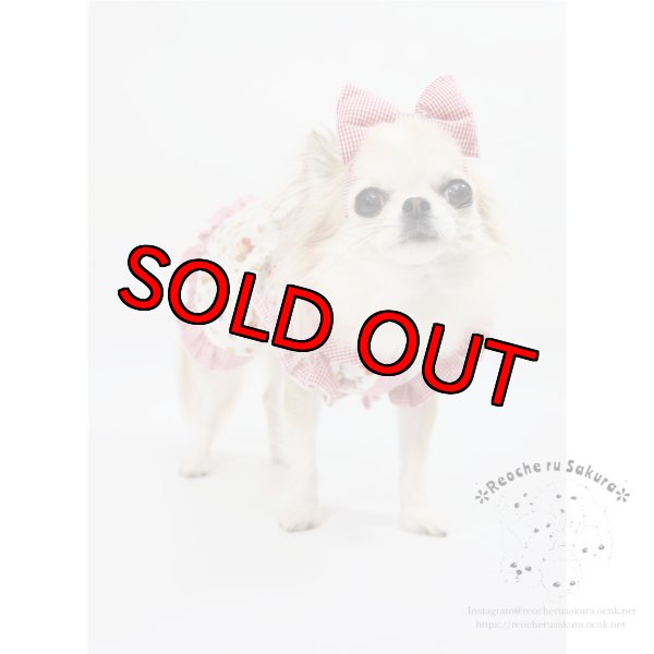 画像15: ラブリーガールブラウス&シャツ (15)