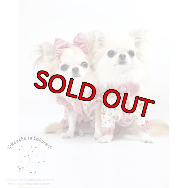 画像7: ラブリーガールブラウス&シャツ (7)