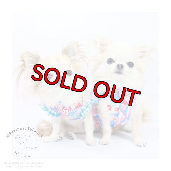 画像20: ホビーアニマルブラウス&ベスト (20)