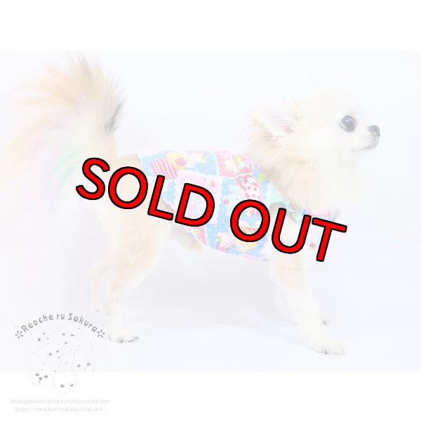 画像19: ホビーアニマルブラウス&ベスト (19)