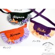 画像4: 【名入れ】ハロウィンスタイ (4)