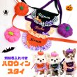 画像1: 【名入れ】ハロウィンスタイ (1)