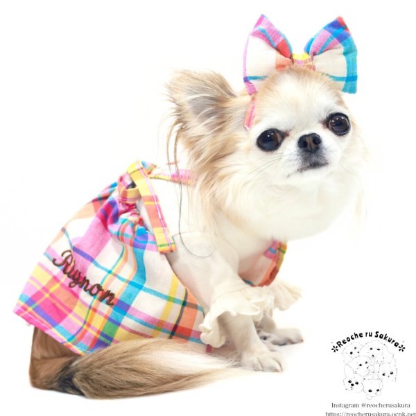 画像12: マドラスチェック　キャミスカート&パンツ (12)