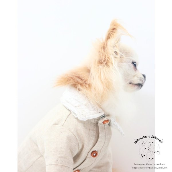 画像16: ナチュリネン　シャツ&ブラウス (16)