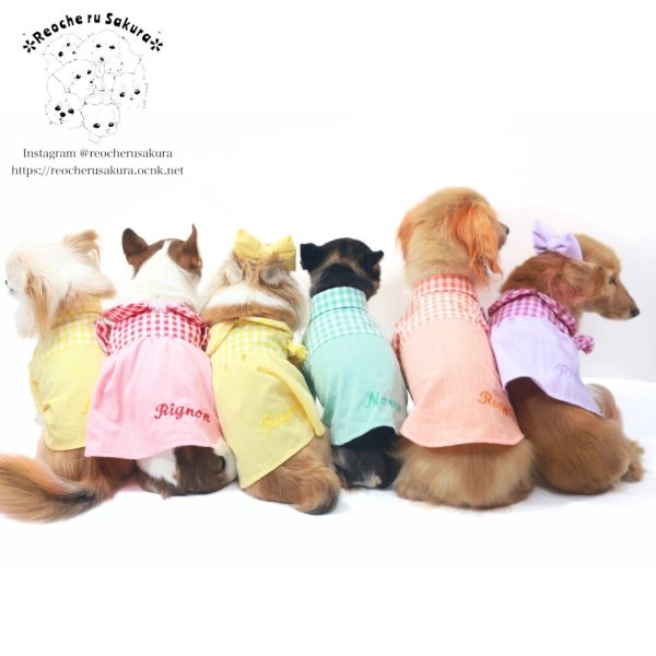 画像20: カラフルキャンディシャツブラウス (20)