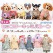 画像1: 【通年着用可】ヒッコリーバルーン (1)