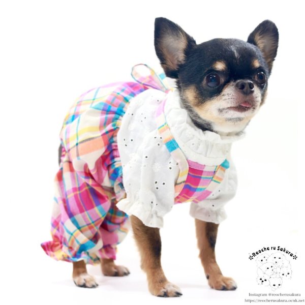 画像16: マドラスチェック　キャミスカート&パンツ (16)