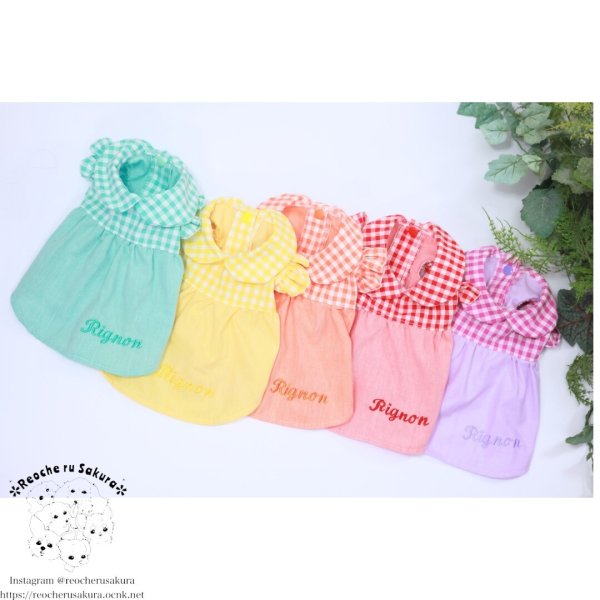 画像30: カラフルキャンディシャツブラウス (30)